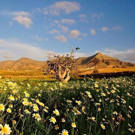 Sky Lovers Jacuzzi Fuerteventura Apartamento Gran Tarajal