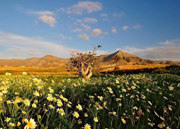 Sky Lovers Jacuzzi Fuerteventura Διαμέρισμα Gran Tarajal